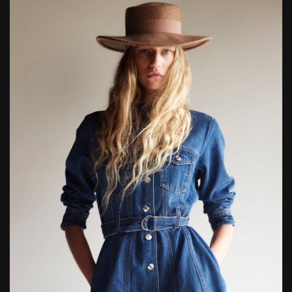 ZARA Denim Dress